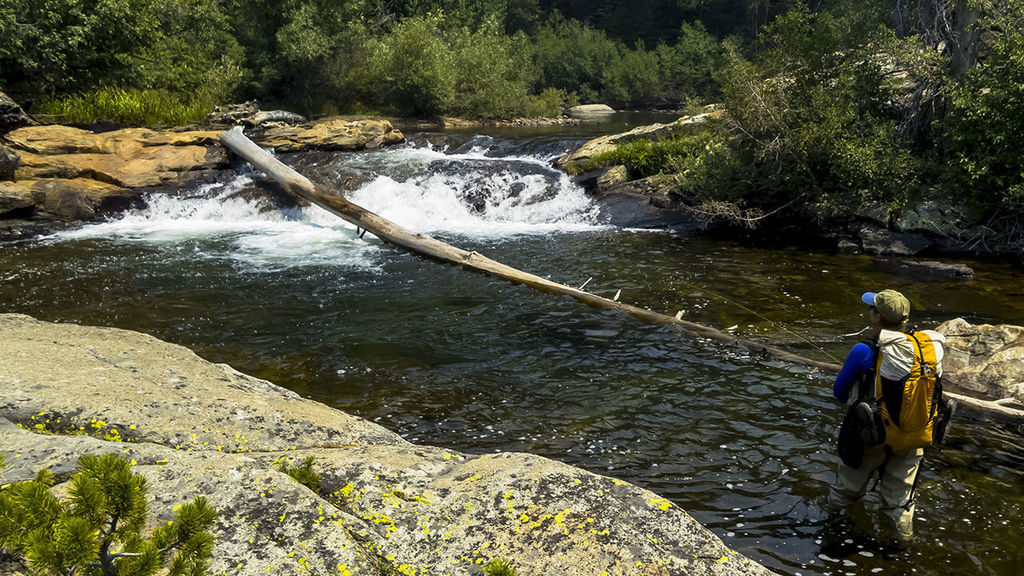 Ultralight Fly Fishing • Bear Creek 2015 (photo heavy)